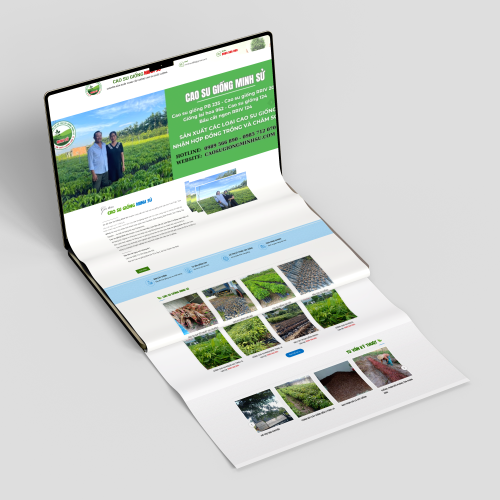 Cao Su Giống Minh Sử