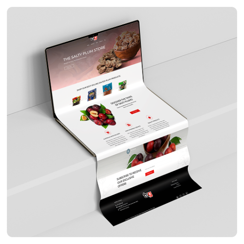 The Salty Plum Store