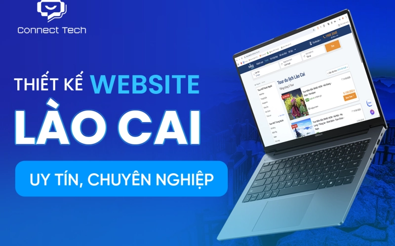Reputable, Professional Website Design in Lao Cai