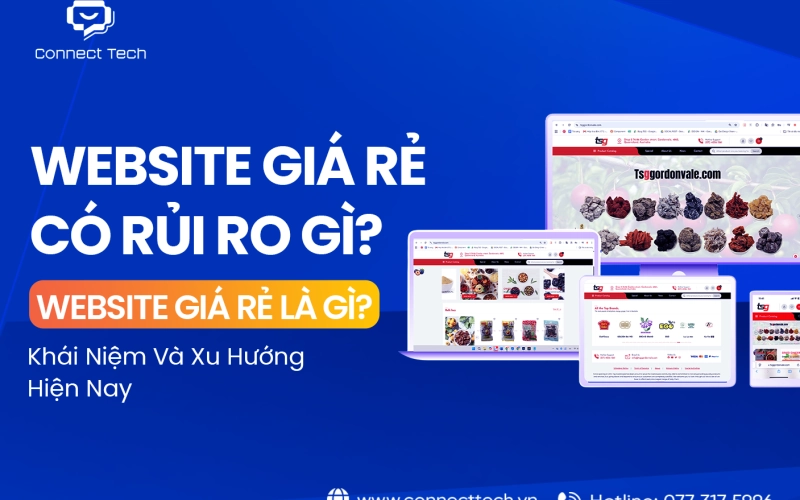 What Is a Low-Cost Website? Concepts and Current Trends