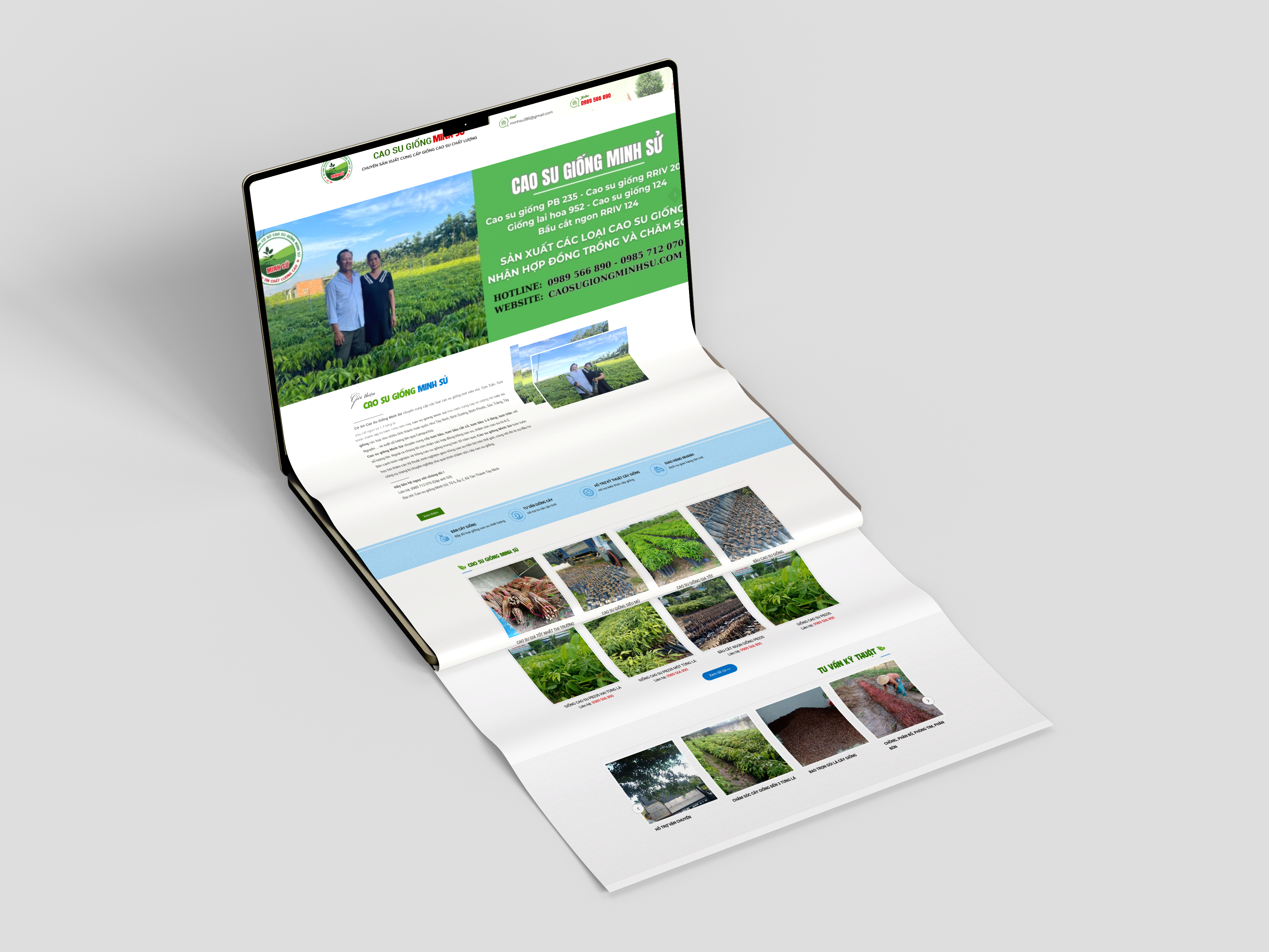 Cao Su Giống Minh Sử